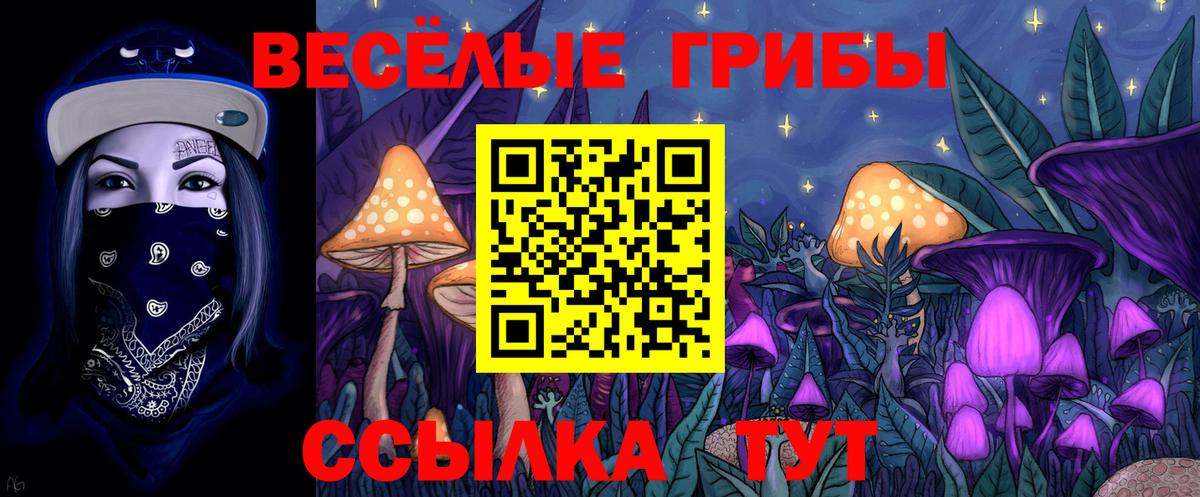 Курчалой  Псилоцибиновые грибы GOLDEN TEACHER  Галлюциногенные грибы MAGIC MUSHROOMS  Вход с VPN 